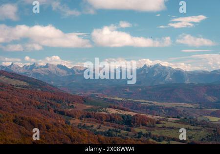 Üppige Herbstfarben bedecken den Irati-Wald mit den zerklüfteten Gipfeln der Pyrenäen im Hintergrund, die in der Nähe des Larrau-Passes in Navarra erfasst wurden Stockfoto