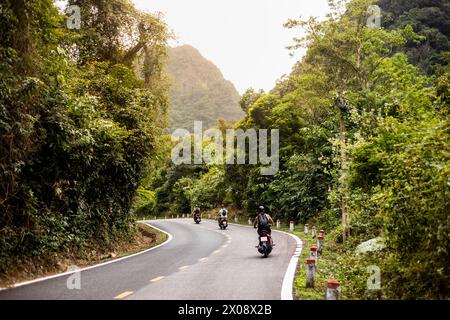 Unbekannte Motorradfahrer fahren auf einer kurvigen Straße inmitten von lebhaftem Grün in der ruhigen vietnamesischen Landschaft. Stockfoto