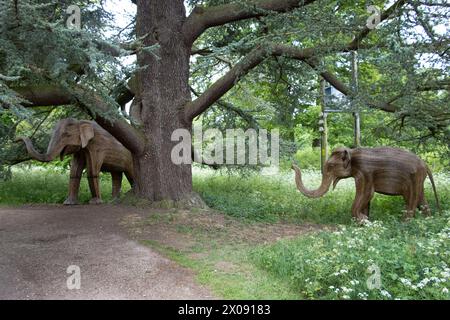 Sudeley Castle Gardens, Kuscheltiere in Gärten, Wichcombe, Gloucestershire, Großbritannien Stockfoto