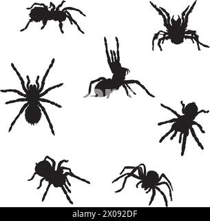 Spider, Tarantel, verschiedene Bilder, Vektor, schwarze Silhouette Stock Vektor