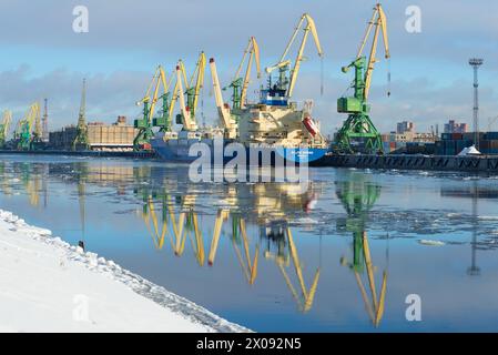 ST. PETERSBURG, RUSSLAND - 17. FEBRUAR 2016: Das Kühlschiff "Baltic Spring" wird am Februarmorgen auf dem Kanonersky-Kanal entladen. St Stockfoto