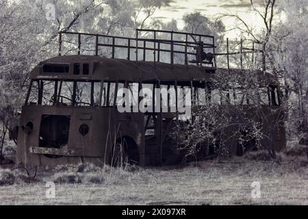 Seitenansicht eines verlassenen, verrosteten Reisebusses in einem Wald, im Infrarot aufgenommen Stockfoto