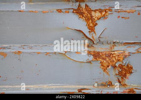 Mehrere Schichten Farbe lösen sich von einer rostigen Metalltür ab. Abstraktes Nahbild einer wettergeschädigten Außentür. Stockfoto