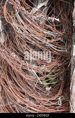 Alte gewickelte und rostige Drähte, stillgelegtes Material, Entlassungen. Nahaufnahme Stockfoto