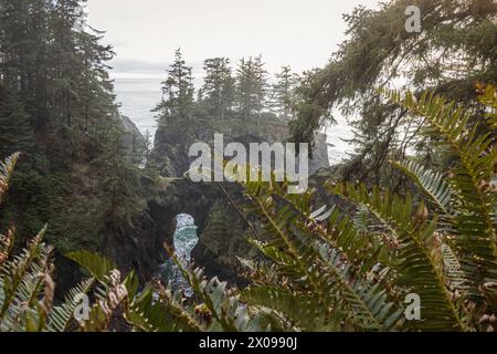 Natürliche Brücken an der südlichen OregonCoast. Teil des Samuel H Boardman Scenic Corridor. Stockfoto