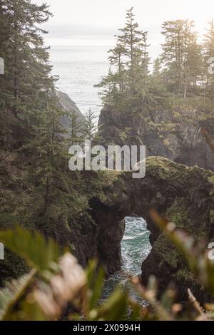 Natürliche Brücken an der südlichen OregonCoast. Teil des Samuel H Boardman Scenic Corridor. Stockfoto