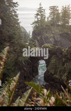 Natürliche Brücken an der südlichen OregonCoast. Teil des Samuel H Boardman Scenic Corridor. Stockfoto