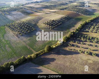 Blick von oben auf italienisches Ackerland. Stockfoto