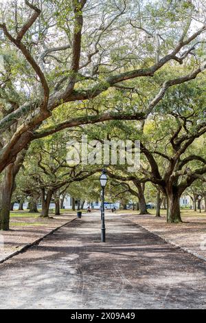 White Point Garden at the Battery in Charleston South Carolina mit Southern Live Oak Bäumen. Stockfoto