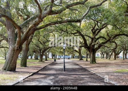 White Point Garden at the Battery in Charleston South Carolina mit Southern Live Oak Bäumen. Stockfoto