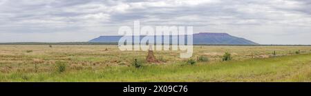 Panoramablick auf das Waterberg-Plateau in Namibia während des Tages im Sommer Stockfoto