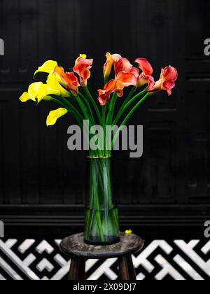 Isolierte Vase aus roten und gelben Calla-Lilien in Shanghai Stockfoto