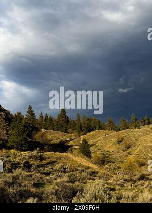 Sonnendurchfluteter Hügel an einem späten Frühlingnachmittag mit grauen, stimmungsvollen Wolken Stockfoto