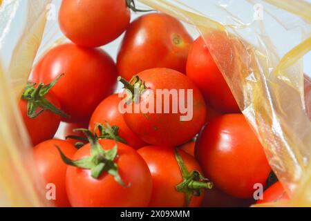 Tomaten isoliert. Tomate ganz, halb, auf weißem Hintergrund. Tomaten mit grünen Basilikumblättern. Beschneidungspfad. Volle Schärfentiefe. Stockfoto