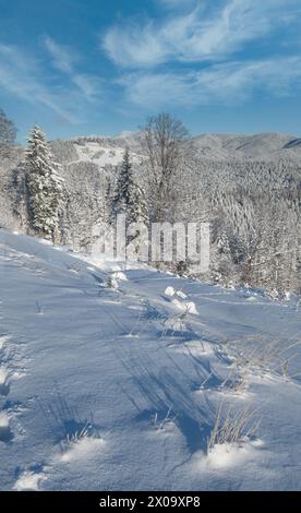 Winter malerische Bergkulisse aus dem Gorgany-Massiv vom Yablunytsia-Pass, Karpaten, Ukraine. Stockfoto