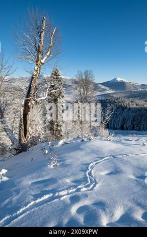 Winter malerische Bergkulisse aus dem Gorgany-Massiv vom Yablunytsia-Pass, Karpaten, Ukraine. Stockfoto
