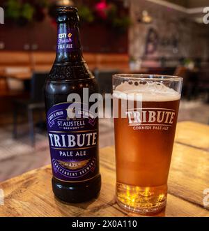 Ein Pint Glas mit Tribute Cornish Pale Ale mit der leeren Flasche an der Seite Stockfoto