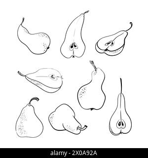 Satz von verschiedenen Birnen, handgezeichnet Umrisse. Die schwarze Linie auf weißem Hintergrund. Birnen und Birnen Scheiben mit Blättern und Zweigen. Vektorelemente Stock Vektor