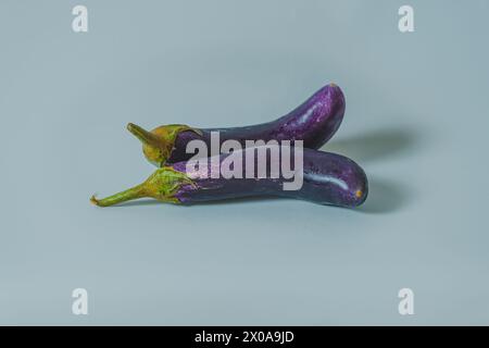 Zwei glänzende, violette Auberginen mit frischen grünen Kelchen auf weißem Hintergrund. Stockfoto