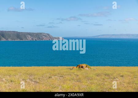 Küstenlandschaft des Cape Willoughby Conservation Park, Kangaroo Island Stockfoto