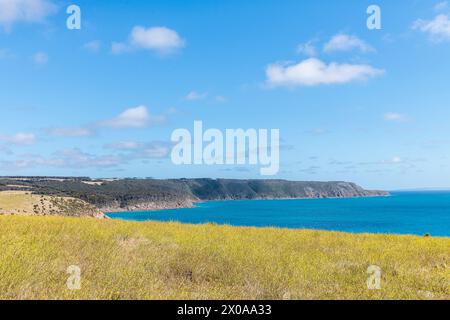 Küstenlandschaft des Cape Willoughby Conservation Park, Kangaroo Island Stockfoto