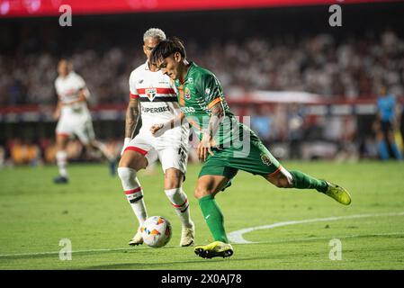 Sao Paulo, Sao Paulo, Brasilien. April 2024. Sao Paulo (SP), 10/2024 - LIBERTADORES/SAO PAULO of Toledo, MorumBIS, am Abend dieses Mittwochs, 10. April 2024. (Kreditbild: © Ronaldo Barreto/TheNEWS2 via ZUMA Press Wire) NUR REDAKTIONELLE VERWENDUNG! Nicht für kommerzielle ZWECKE! Stockfoto