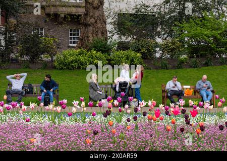 London, Großbritannien. April 2024. Die Menschen entspannen sich und genießen die Aussicht auf die Victoria Embankment Gardens in London, Großbritannien. Victoria Embankment Gardens befinden sich im nördlichen Teil der Themse, zwischen der Blackfriars Bridge und der Westminster Bridge. Die Hauptattraktionen der Gärten im Frühling sind die Tulpenblüte. (Foto: Krisztian Elek/SOPA Images/SIPA USA) Credit: SIPA USA/Alamy Live News Stockfoto