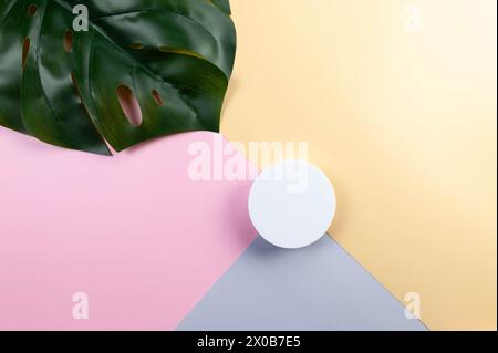 Blick von oben auf das grüne Monstera-Blatt und das weiße Podium auf farbenfrohem Hintergrund. Blauer, rosafarbener und gelber Hintergrund. Produktpräsentation, farbenfrohe Tapete. Stockfoto