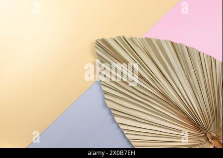 Draufsicht auf getrocknete Palmblätter auf farbenfrohem Hintergrund. Blauer, rosafarbener und gelber Hintergrund. Farbenfrohe Tapeten, flache Lagen, Kopierraum. Stockfoto