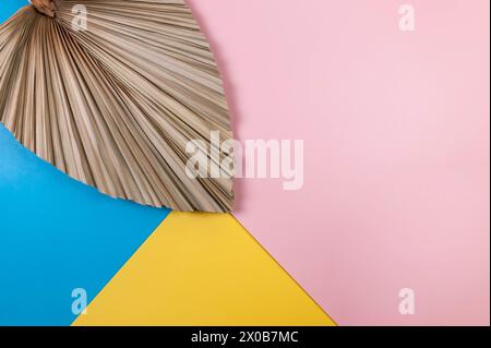 Draufsicht auf getrocknete Palmblätter auf farbenfrohem Hintergrund. Blauer, rosafarbener und gelber Hintergrund. Farbenfrohe Tapeten, flache Lagen, Kopierraum. Stockfoto