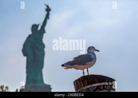 Eine Möwe vor der Freiheitsstatue in New York Stockfoto