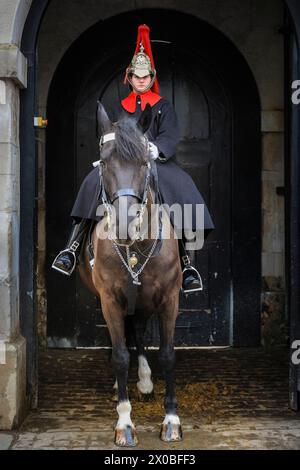 Weibliche Wärter der King's Life Guard auf Pferd, Horse Guards Parade, Whitehall, Westminster, London, England Stockfoto