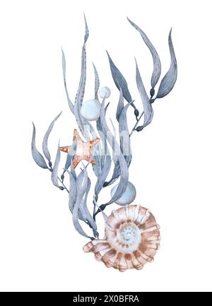 Zusammensetzung mit Algenschalen und Seesternen. Aquarellillustration, handgezeichnet, isoliert auf weißem Hintergrund Stockfoto