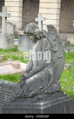 Angel, Grabsteine und Gräber, Brompton Cemetery, West Brompton, Royal Borough of Kensington und Chelsea, London, Großbritannien. Brompton Cemetery (Original Stockfoto