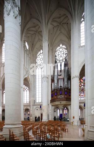 Basilika Basilika Saint-Nicolas-de-Port, Departement Meurthe-et-Moselle, Lothringen, Region Grand Est, Frankreich *** Basilika Basilika Saint Nicolas de Port, Departement Meurthe et Moselle, Lothringen, Region Grand Est, Frankreich Stockfoto