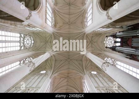 Basilika Basilika Saint-Nicolas-de-Port, Departement Meurthe-et-Moselle, Lothringen, Region Grand Est, Frankreich *** Basilika Basilika Saint Nicolas de Port, Departement Meurthe et Moselle, Lothringen, Region Grand Est, Frankreich Stockfoto