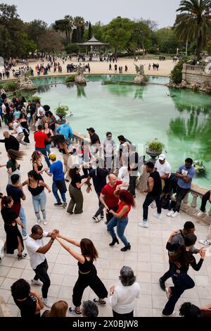 SALSA, STADTPARK, BARCELONA: Ein Meer von Tänzern verliert sich in der Musik. Paare tanzen auf den Terrassen des monumentalen Springbrunnens von Cascada. Eine schöne katalonische Wochentradition ist die kostenlose Sonntagssalsa-Tanzparty im Parc de Ciutadella, Barcelona, Spanien. Die Leute tauchen auf und tanzen abwechselnd mit einer Reihe williger Tanzpartner. Foto: Rob Watkins Stockfoto