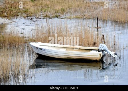 Hiddensee Vitte, Deutschland. April 2024. Ein Fischerboot liegt im Hafengebiet von Vitte. Quelle: Waltraud Grubitzsch/dpa/Alamy Live News Stockfoto