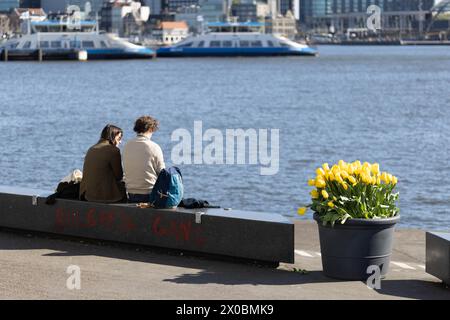 Amsterdam, Niederlande. April 2024. Während des Tulpenfestivals 2024 in Amsterdam, Niederlande, am 10. April 2024, genießen die Menschen Sonnenschein und Tulpen. Quelle: Sylvia Lederer/Xinhua/Alamy Live News Stockfoto