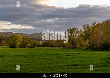 Abendstimmung im Taunus die Landschaft bei Wehrheim mit Blick zum Großen Feldberg ist im Abendlicht zu sehen., Wehrheim Hessen Deutschland *** Abendstimmung im Taunus die Landschaft bei Wehrheim mit Blick auf den Großen Feldberg ist im Abendlicht zu sehen Stockfoto