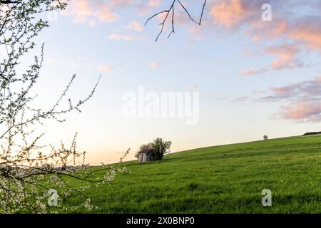 Abendstimmung im Taunus die Landschaft bei Wehrheim ist im Abendlicht zu sehen., Wehrheim Hessen Deutschland *** Abendstimmung im Taunus die Landschaft bei Wehrheim ist im Abendlicht zu sehen, Wehrheim Hessen Deutschland Stockfoto