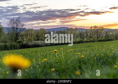 Abendstimmung im Taunus die Landschaft bei Wehrheim ist im Abendlicht zu sehen., Wehrheim Hessen Deutschland *** Abendstimmung im Taunus die Landschaft bei Wehrheim ist im Abendlicht zu sehen, Wehrheim Hessen Deutschland Stockfoto