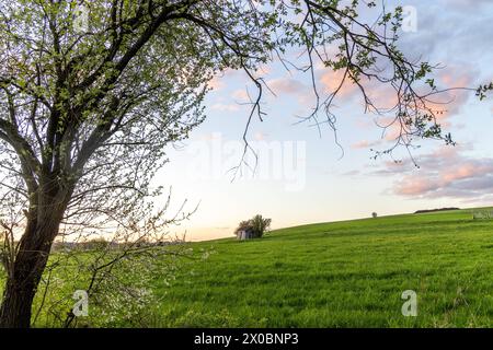 Abendstimmung im Taunus die Landschaft bei Wehrheim ist im Abendlicht zu sehen., Wehrheim Hessen Deutschland *** Abendstimmung im Taunus die Landschaft bei Wehrheim ist im Abendlicht zu sehen, Wehrheim Hessen Deutschland Stockfoto