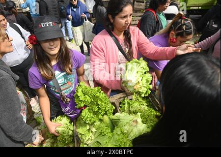 Buenos Aires, Argentinien. April 2024. Zwei Frauen, die Salatblätter anpflanzen, sind vor dem argentinischen Kongress in Buenos Aires. Hunderte von Menschen versammeln sich vor dem argentinischen Nationalkongress, um kostenlos verschiedene Früchte, Gemüse und Pflanzen direkt von den landwirtschaftlichen Erzeugern der UTT (Land Workers Union) zu erhalten, die sich aufgrund der Wirtschaftskrise im April in diesem Land befinden. Quelle: SOPA Images Limited/Alamy Live News Stockfoto