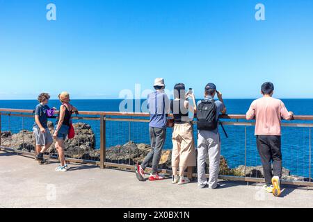 Aussichtspunkt an der Küste im historischen Kiama Lighthouse, Kiama Harbour, Kiama, New South Wales, Australien Stockfoto