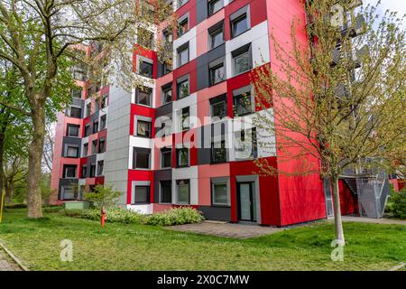 Studentenwohnheim des Studierendenwerks Essen-Duisburg in Essen, über 310 möblierte Zimmer werden an Studierende vermietet, NRW, Deutschland Studentenwohnheim *** Studentenwohnheim des Studierendenwerks Essen Duisburg in Essen, über 310 möblierte Zimmer werden an Studierende vermietet, NRW, Deutschland Studentenwohnheim Stockfoto