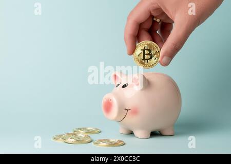 Minimales Investitionskonzept. Hand lässt Goldbitcoin-Münze auf blauem Hintergrund in Schweinebank fallen. Stockfoto