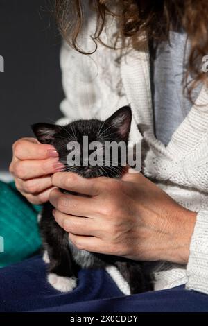 Frau und süßes schwarz-weißes (Tuxedo) Kätzchen Stockfoto