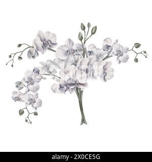 Ein Strauß von weißen Orchideen Zweigen. Tropische Pflanzen, Aquarellillustration, botanische Malerei, Grußkartenrahmen Randblumen, Orchideen, und Stockfoto