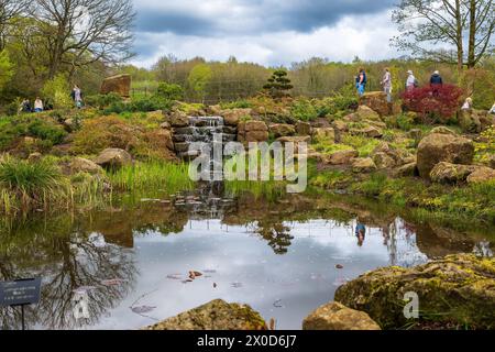 RHS Garden Bridgewater in Worsly bei Manchester. Stockfoto